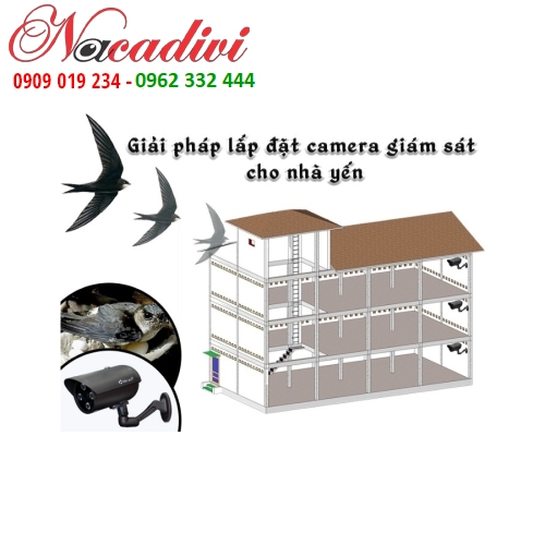 CÔNG TY NACADIVI CHUYÊN LẮP ĐẶT CAMERA CHO NHÀ YẾN