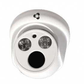 Camera IP Dome hồng ngoại 2.0 Megapixel VANTECH VP-2110P