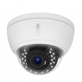 Camera IP Dome hồng ngoại 5.0 Megapixel AVTECH DGM5447TP