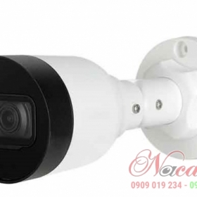 Camera IP hồng ngoại 2.0 Megapixel DAHUA DS2230SFIP-S2