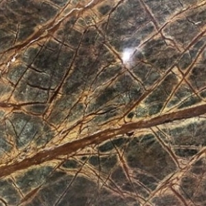 Đá Forest Marble