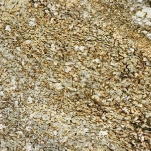 Đá Granite Normandy